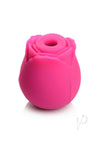 Gossip Rose Crush Pink