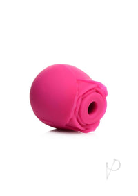 Gossip Rose Crush Pink