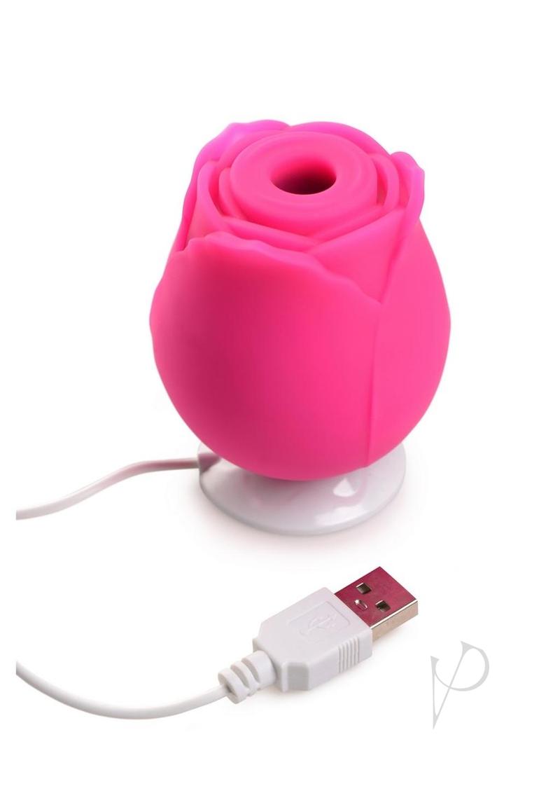Gossip Rose Crush Pink