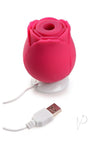 Gossip Rose Lust Red