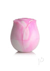 Gossip Rose Dream Pink/white