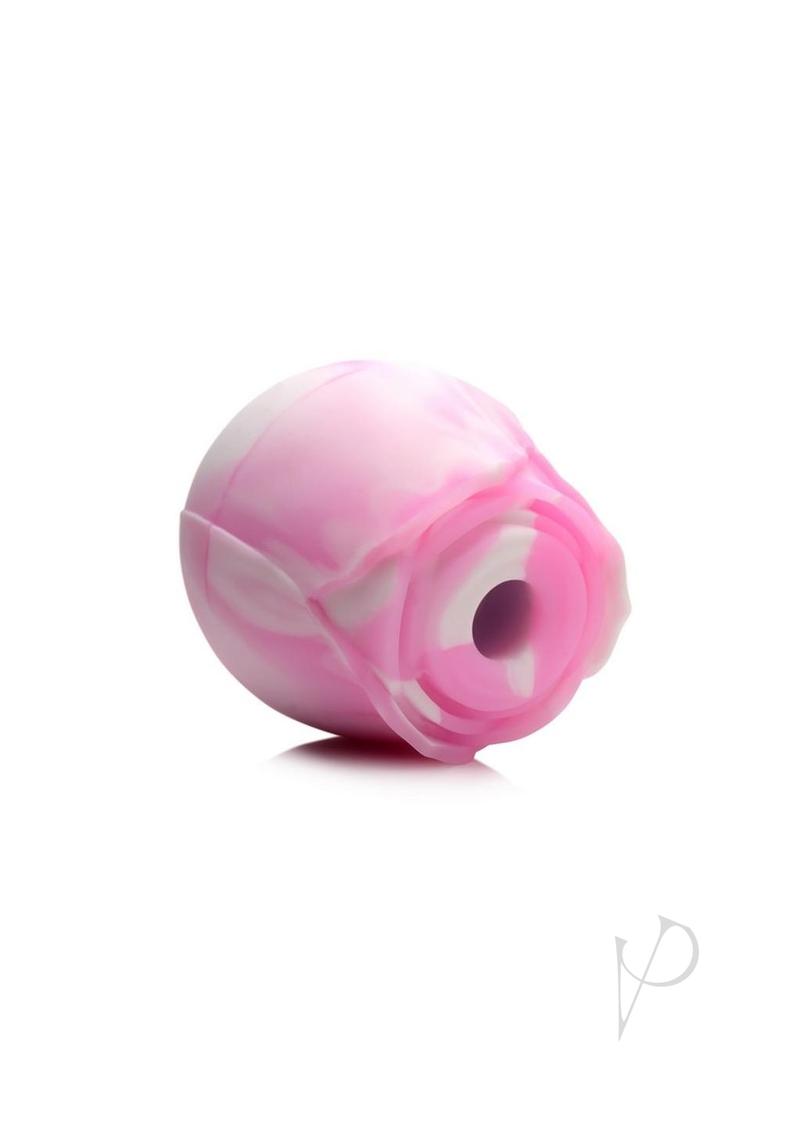 Gossip Rose Dream Pink/white