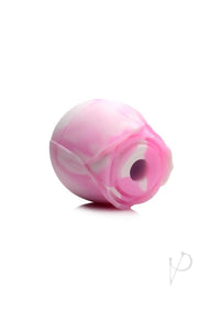 Gossip Rose Dream Pink/white