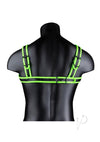 Ouch Buckle Harness Gitd L/xl