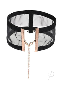 Sandm Sheer Day Collar Blk/rse Gld