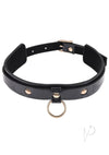 Sandm Orbit Day Collar Multicolor