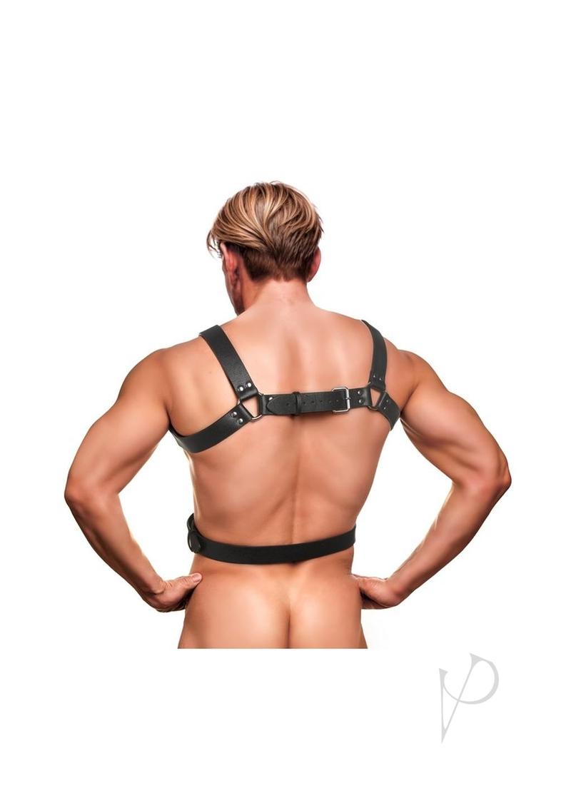Strict 6 O Ring Chest Harness Black