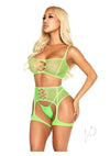 Fishnet Bra Garter Harness 2pc Grn Os