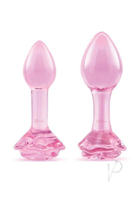 B Vibe Pink Roses Training Set