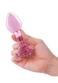 B Vibe Pink Roses Training Set