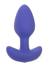 Calexotics Connect Tapered Probe Purple