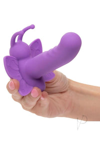 First Time Rotating Venus Butterfly Pur