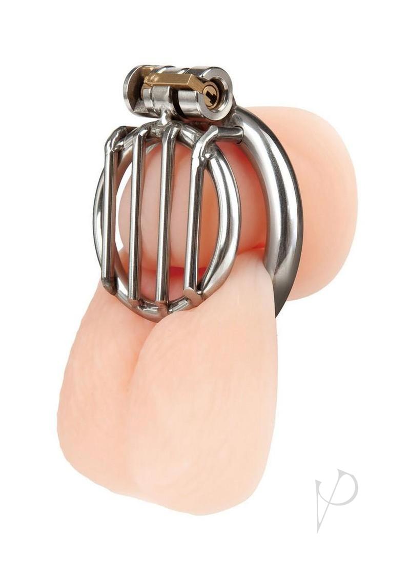 Stainless Steel Inverted Jail Chastity