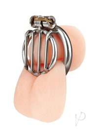 Stainless Steel Inverted Jail Chastity