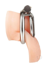 Stainless Steel Inverted Jail Chastity