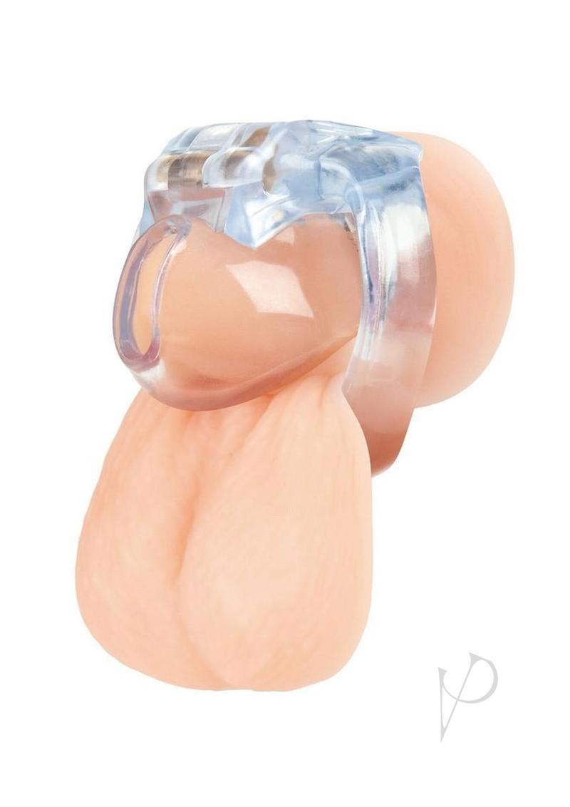 Small Dick Acrylic Mini Chastity