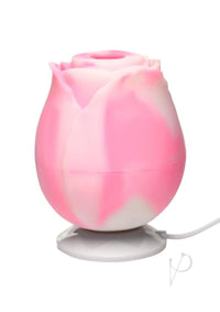 Bloomgasm Rose Lover Gift Box Pnk