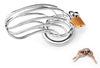 BIRD COOP STEEL CHASTITY DEVICE