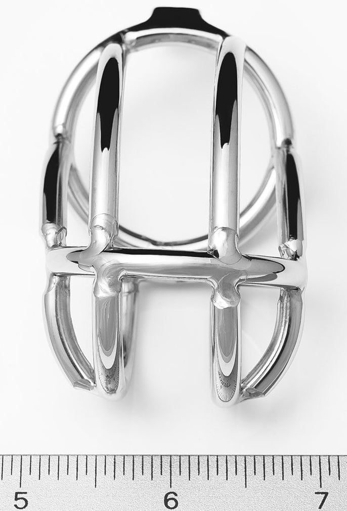 TEASER STAINLESS STEEL CHASTITY DEVICE