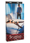 Scandal Over The Bed Cross