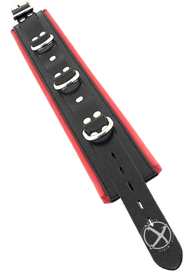 Rouge 3 D Ring Padded Collar Blk/red