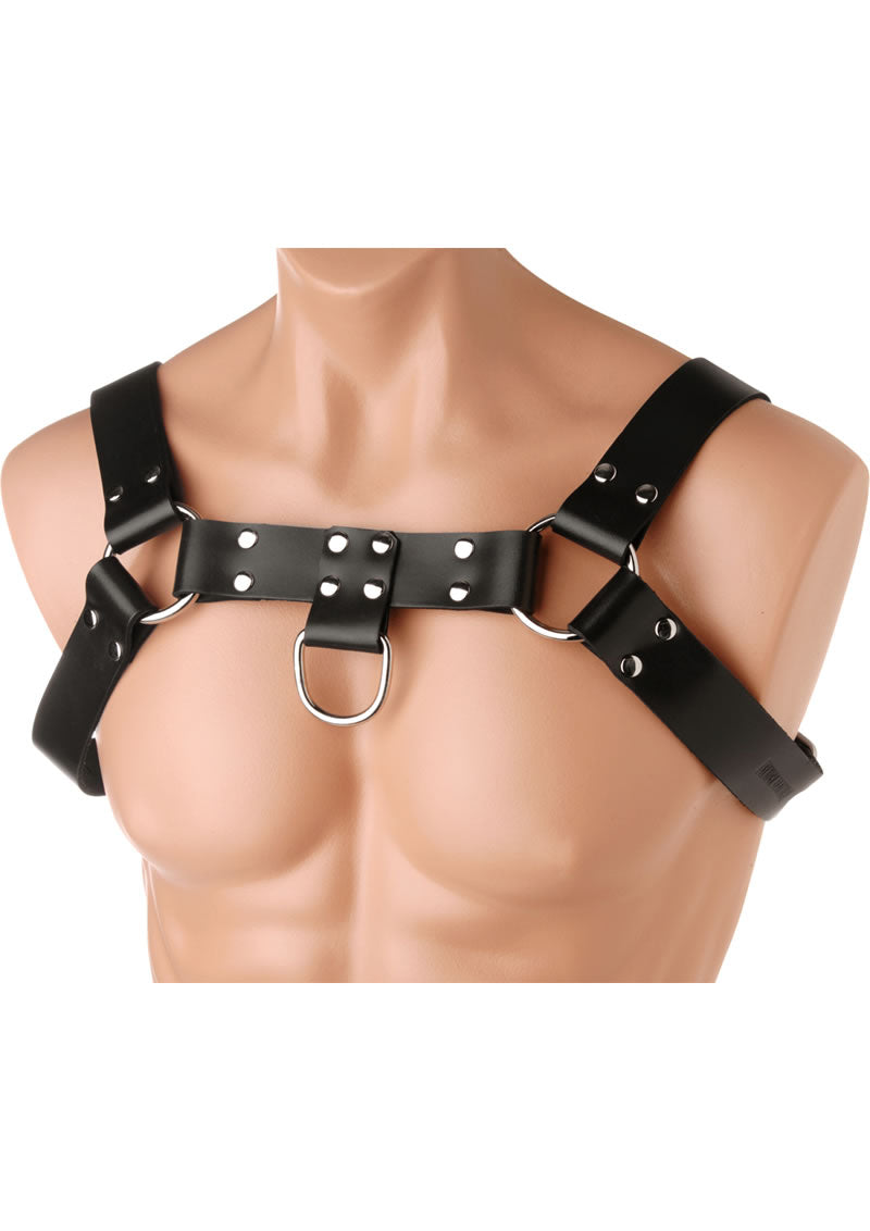 English Bull Dog Harness