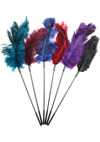 Ostrich Feather Tickler Combo