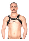 Prowler Red Bull Harness Blk Xxlg