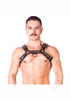 Prowler Red Bull Harness Blk/grn Md