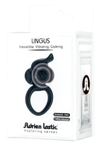 Lingus Black(disc)