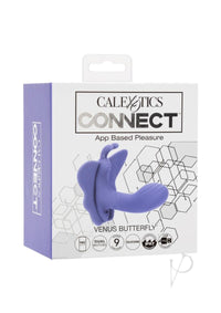Calexotics Connect Venus Butterfly